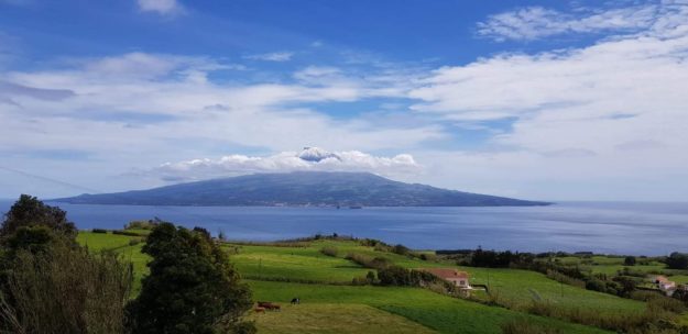 Proactive Risk Management – Benoit Grenier Benoit Grenier