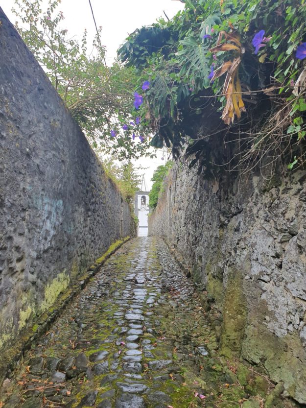 Safeguarding of company Benoit Grenier