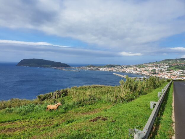 PARMINC Azores Benoit Grenier