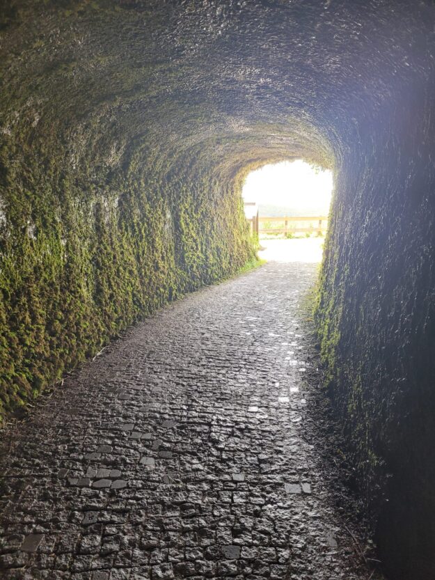 A Evolução das Ameaças Cibernéticas