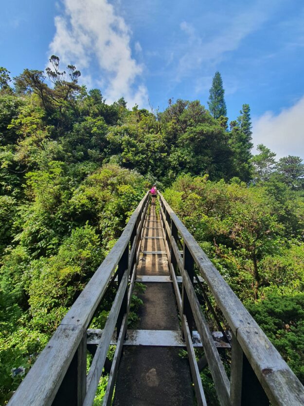 A Ciência da Análise e Identificação de Impressões Digitais