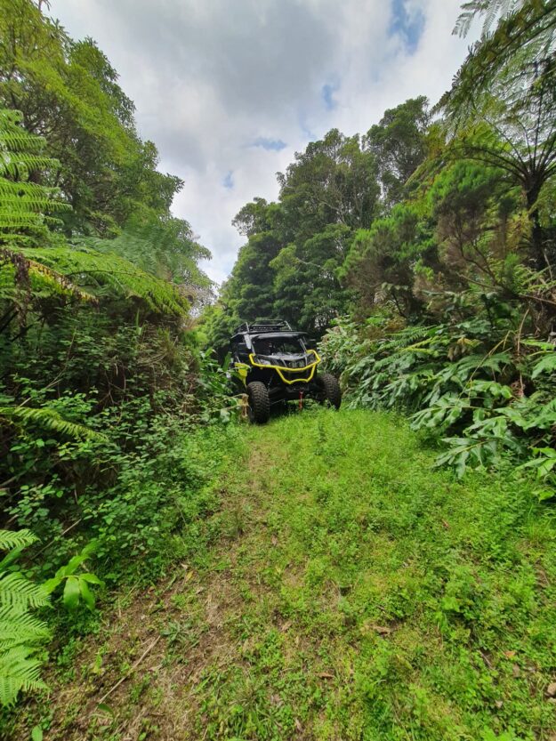 Unlocking Success with PARM PARM - Benoit Grenier