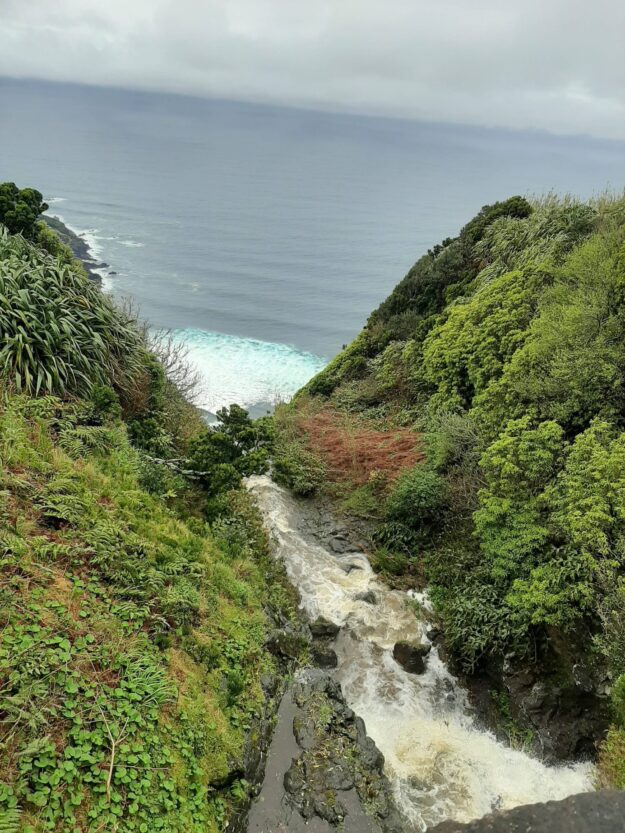 Conselhos da PSP para a segurança dos seus e dos seus bens