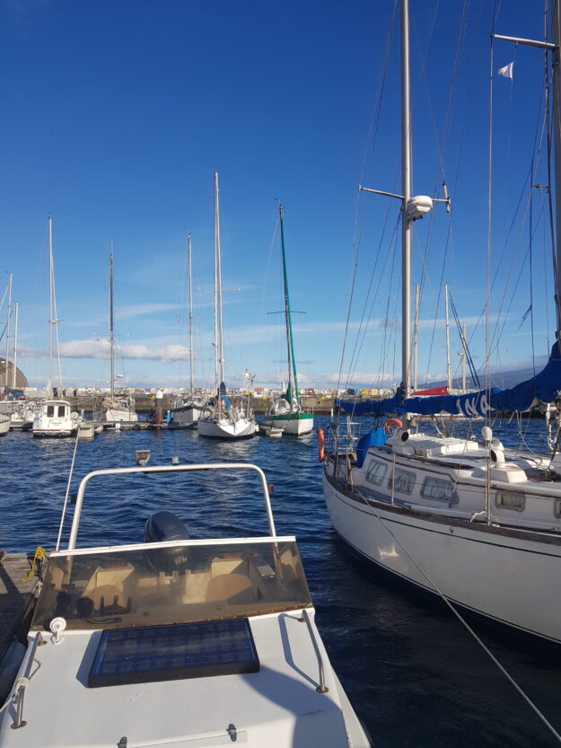 Processo disciplinar