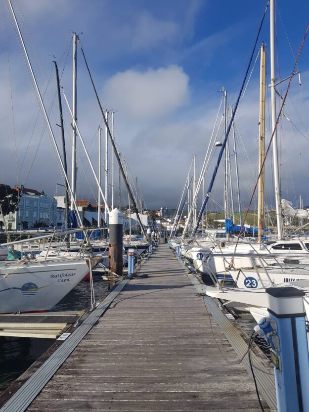 contratação de detetive particular