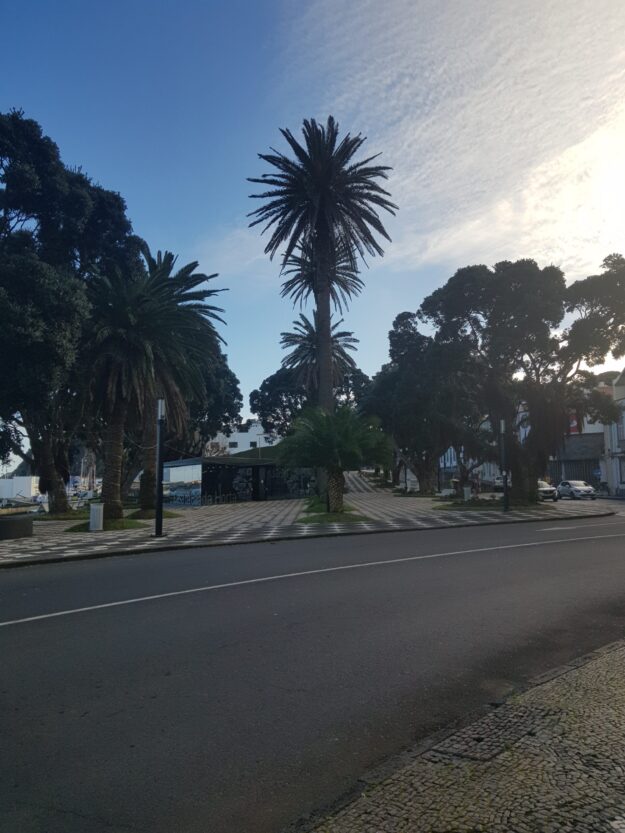 Serviços para companhias Internacionais de Exportação