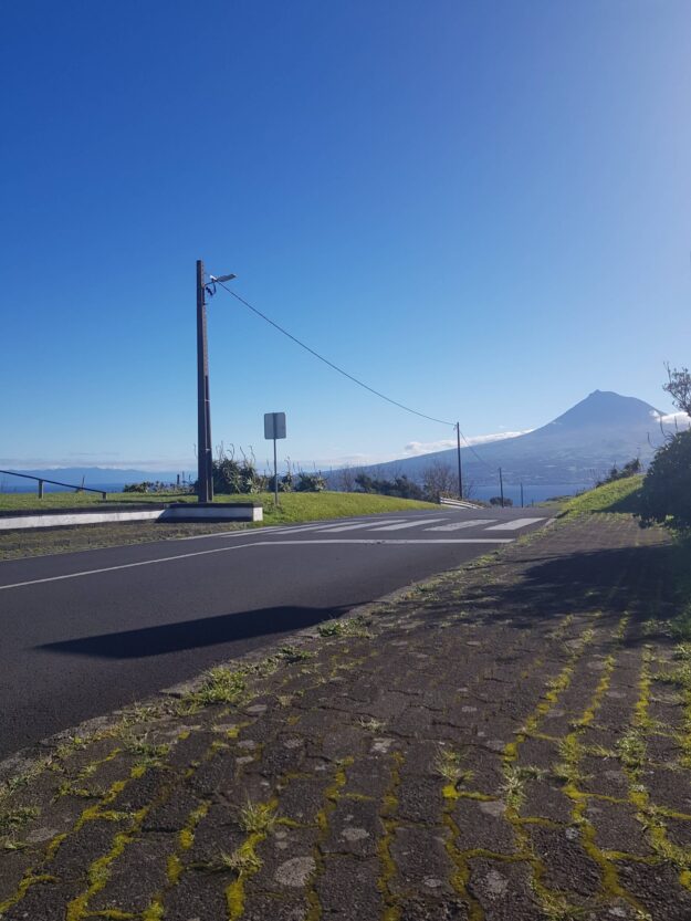 INVESTIGAÇÃO DE CURIOSIDADE O QUE É?