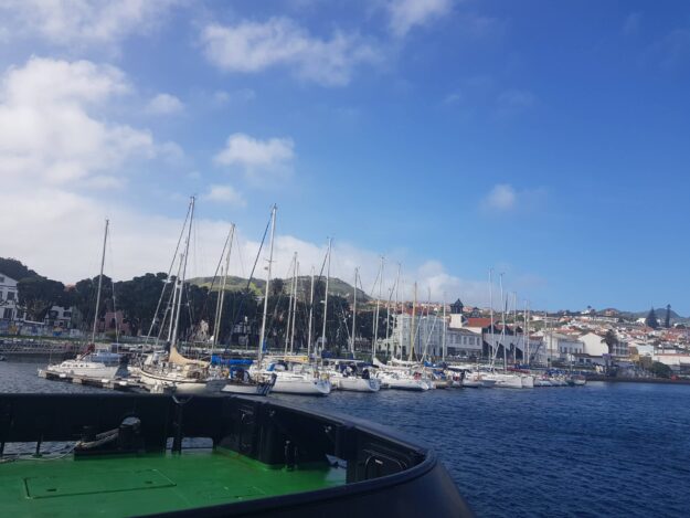 O que é a Diligência Prévia?