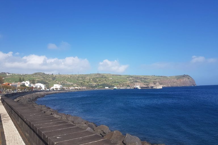 Verificação de Referências