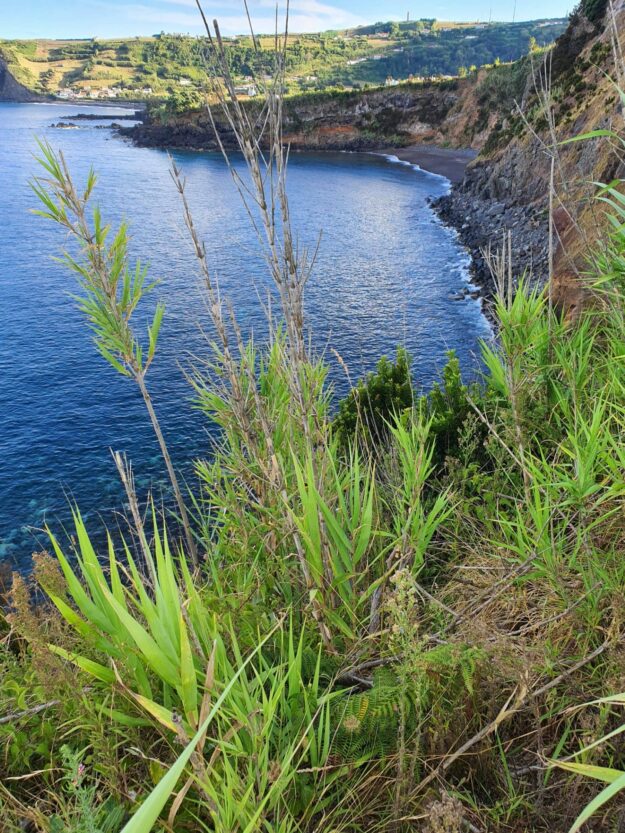 Scam ou fraude o que é?