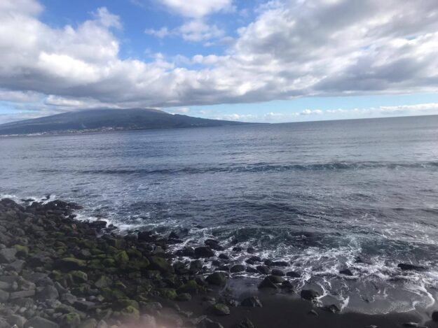 Web e monitoramento de redes sociais