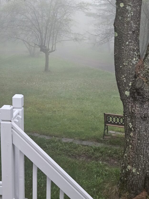 fog 20240831_190707 Détection des menaces