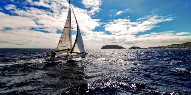 organizational culture