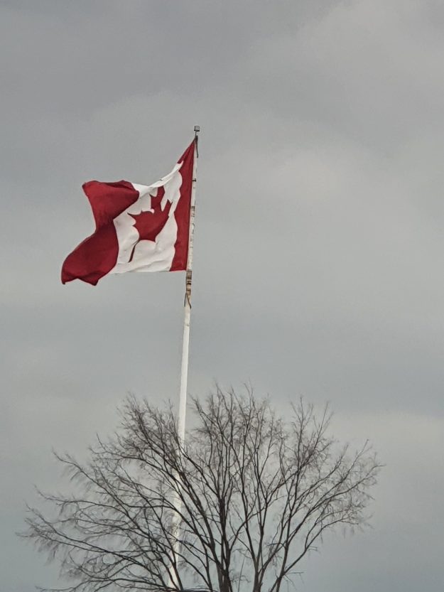 The Corporate The Corporate Competitive Intelligence