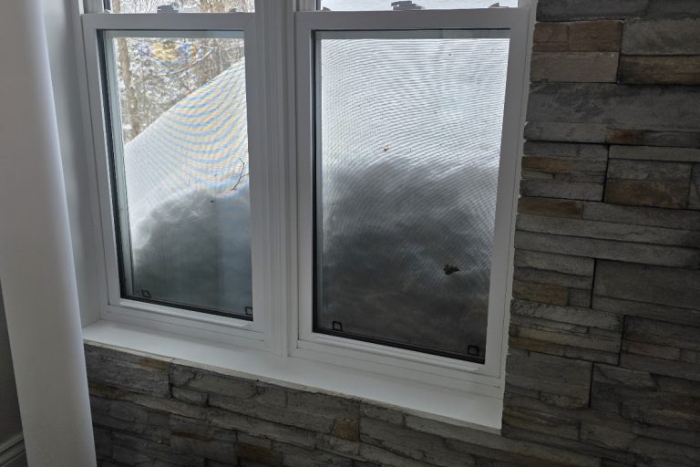 neige 20260225_114026(0)